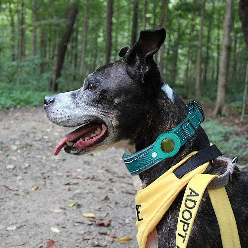 Collier Anti-Perte pour Chien avec Étui Protecteur pour Airtag, Imperméable et Réfléchissant