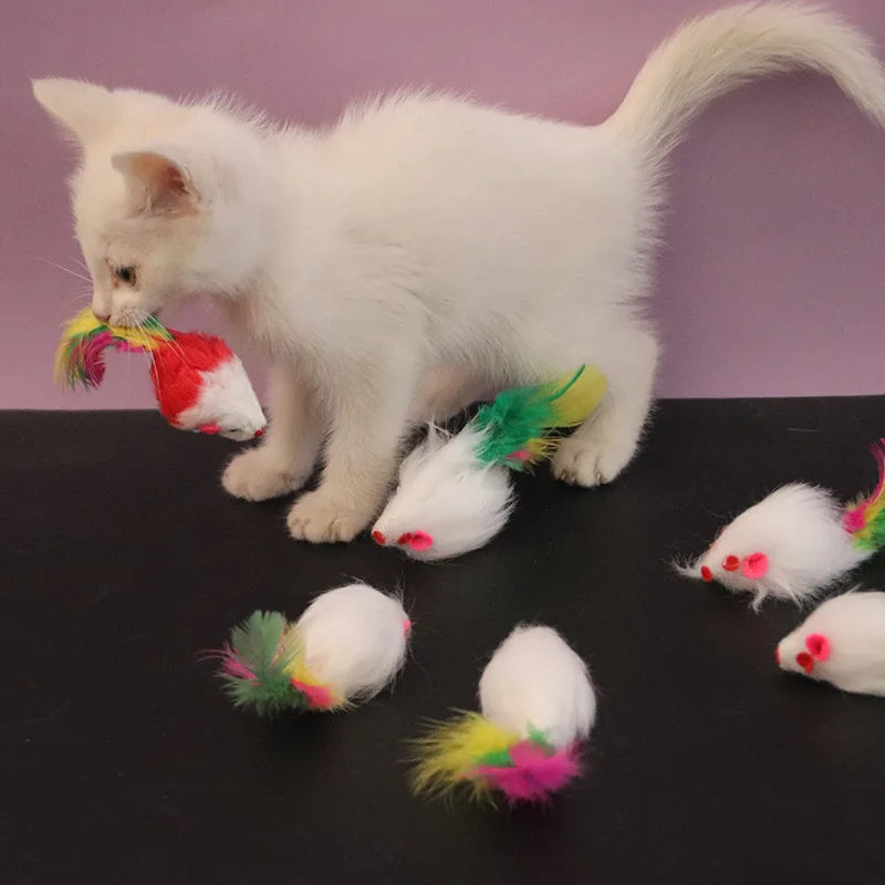 Souris Polaire avec Plumes Colorées pour Chat et Chaton